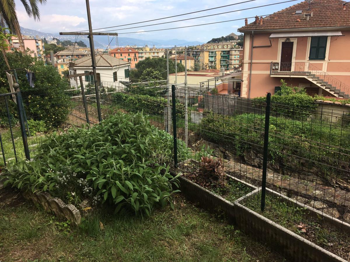 Apartament Casa Emanuele Santa Margherita Ligure Zewnętrze zdjęcie